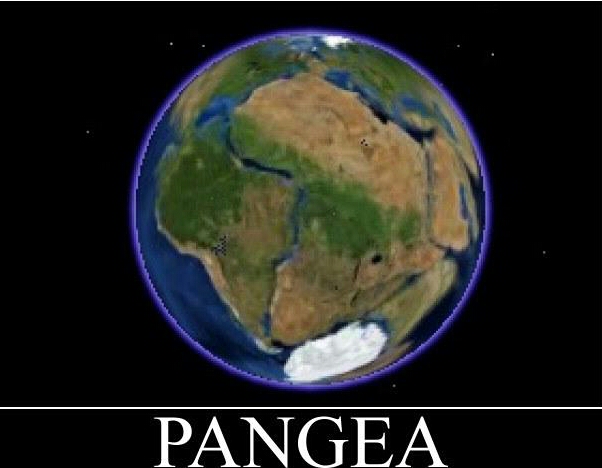 Pangea Sober Living